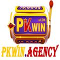 avatar for pkwinagency