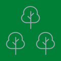 avatar for cityboundforest