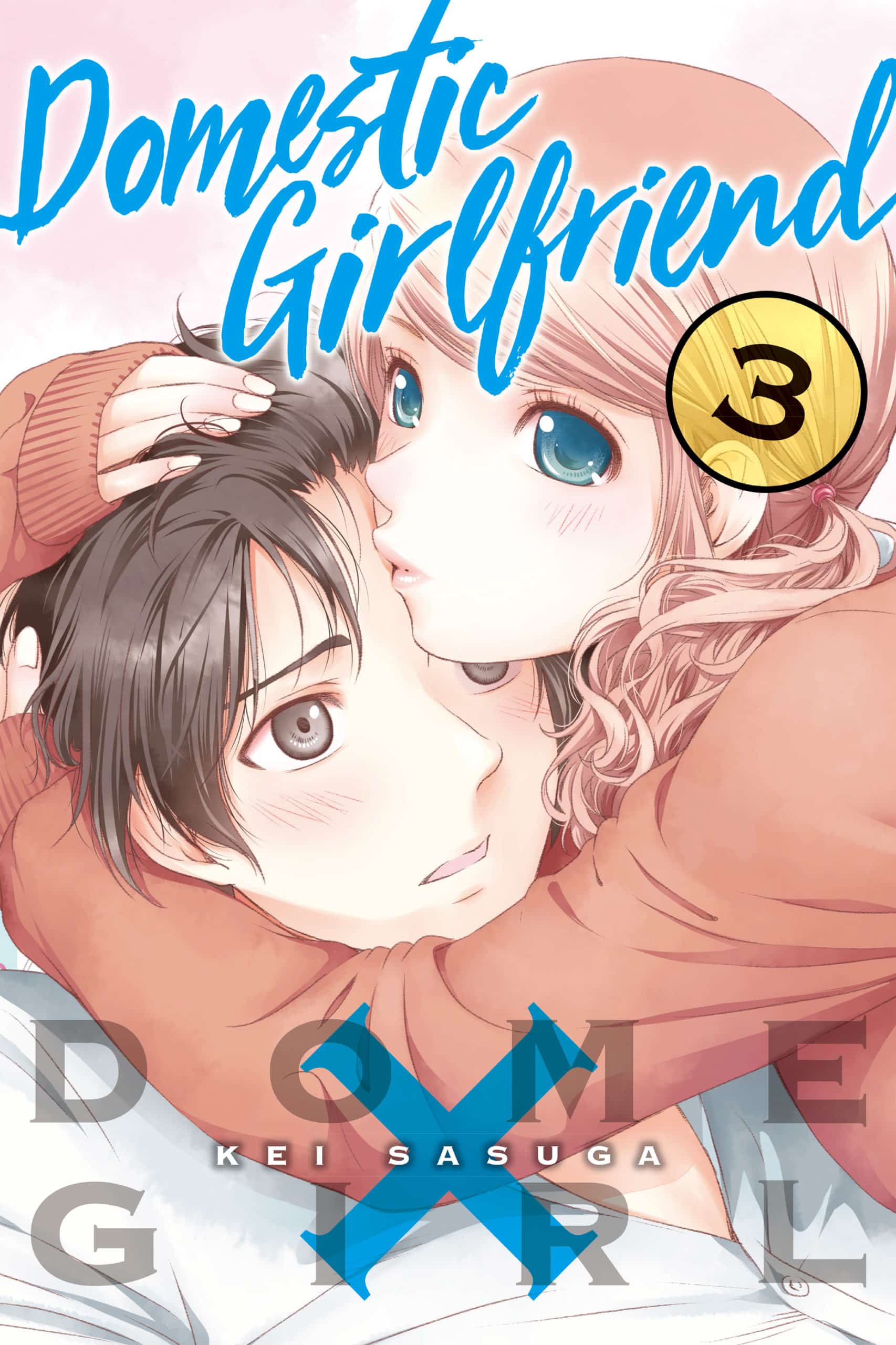 Kei Sasuga: Domestic Girlfriend, Volume 3 (EBook, 2017, Kodansha Comics)