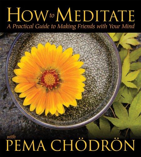 Pema Chödrön: How to Meditate With Pema Chodron (AudiobookFormat, 2007, Sounds True)