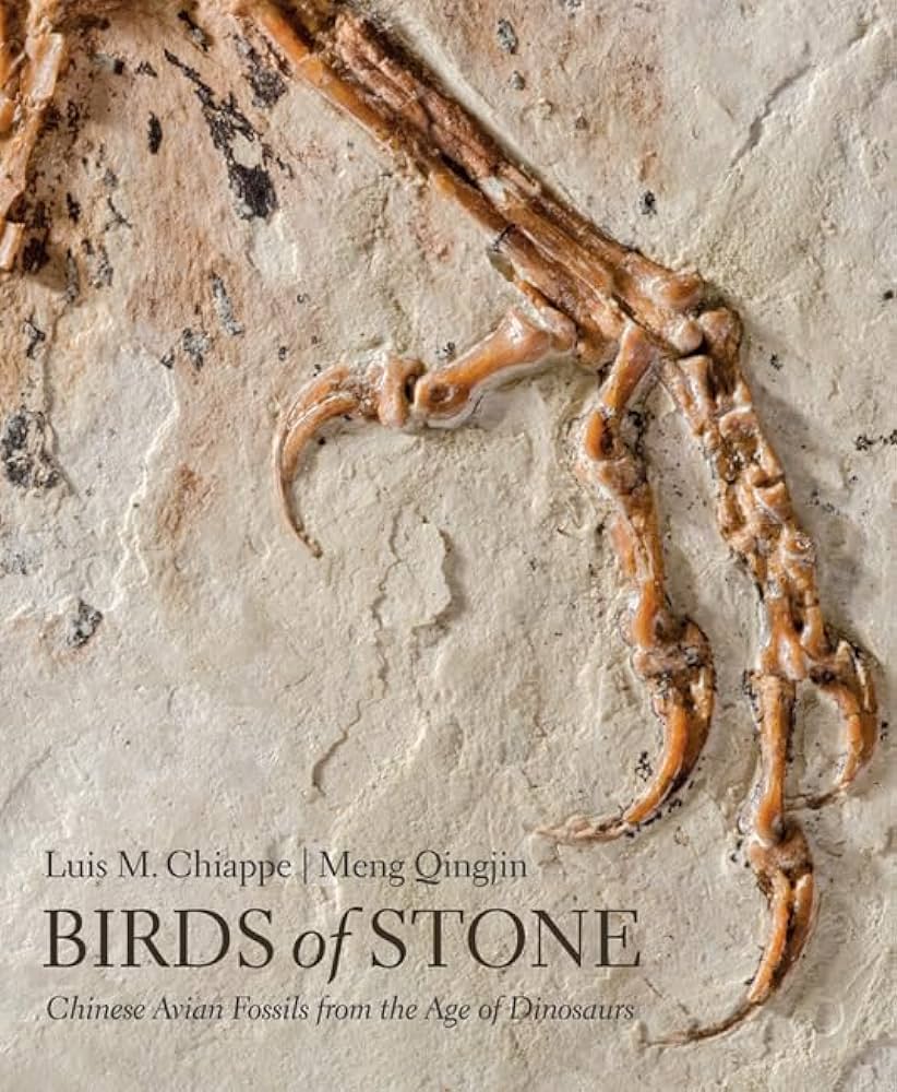 Luis M. Chiappe: Birds of stone (2016)