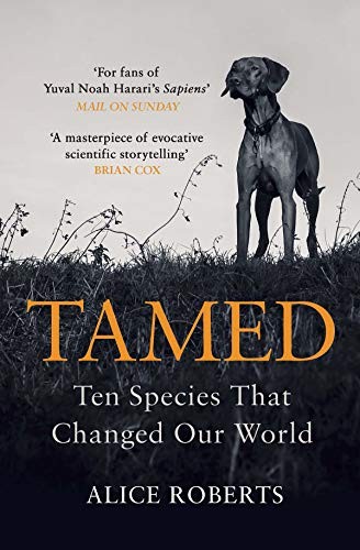 Tamed (Paperback, 2018, Windmill Books)
