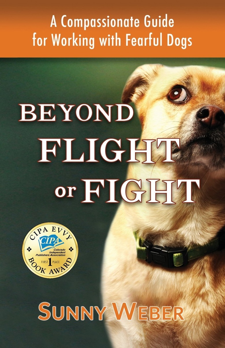 Sunny Weber: Beyond Flight Or Fight (Paperback, Pups And Purrs Press)