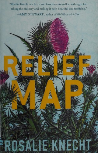 Rosalie Knecht: Relief map (2016)