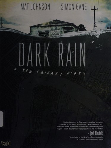 Mat Johnson: Dark rain (2010, DC Comics/Vertigo)