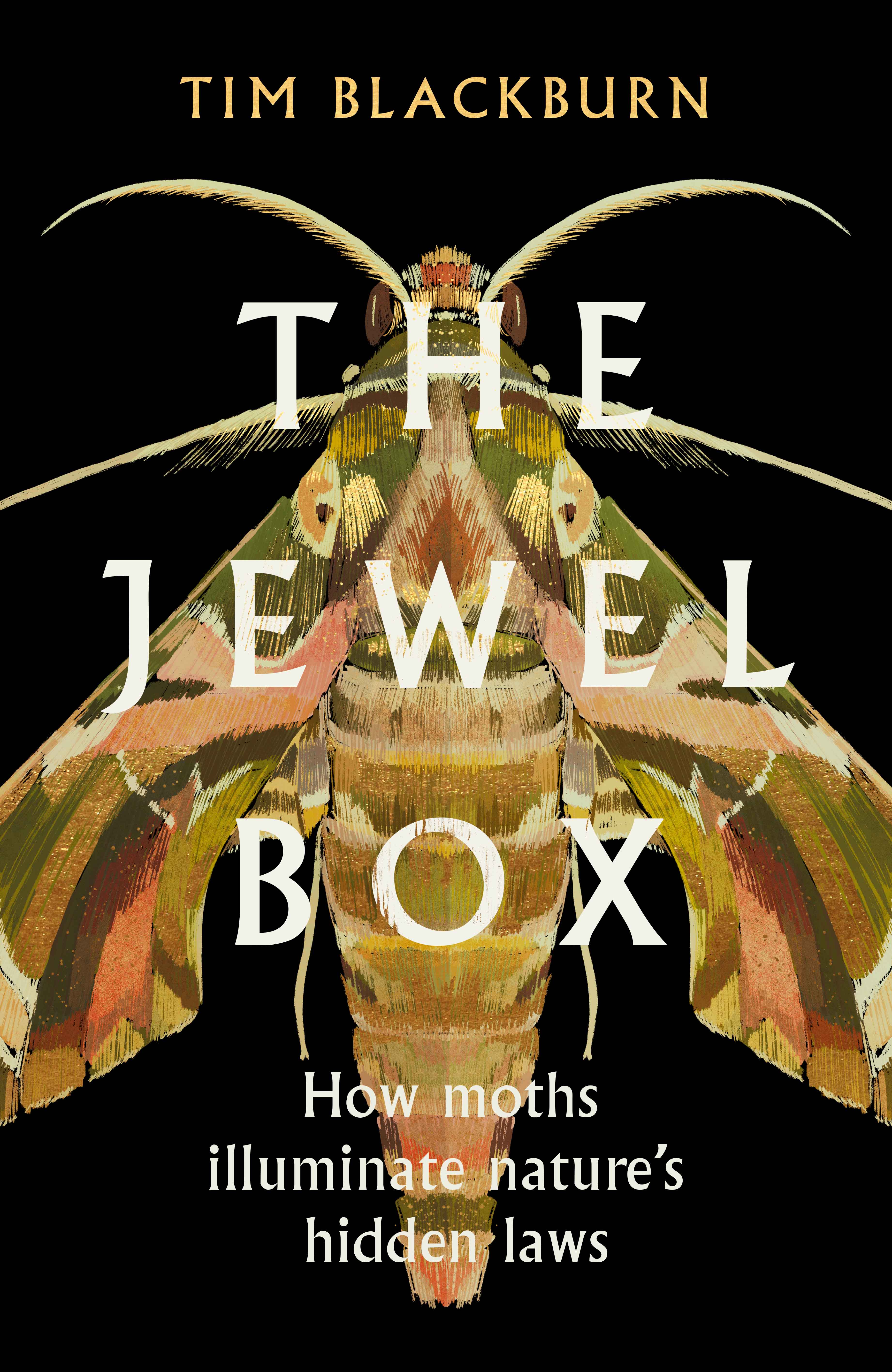 Tim Blackburn: The Jewel Box (Hardcover, 2023)