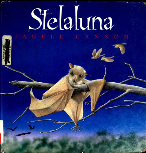 Janell Cannon: Stelaluna (Spanish language, 1997, Editorial Juventud)
