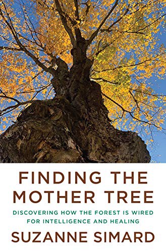 Suzanne Simard: Finding the Mother Tree (Hardcover, 2021, Knopf)