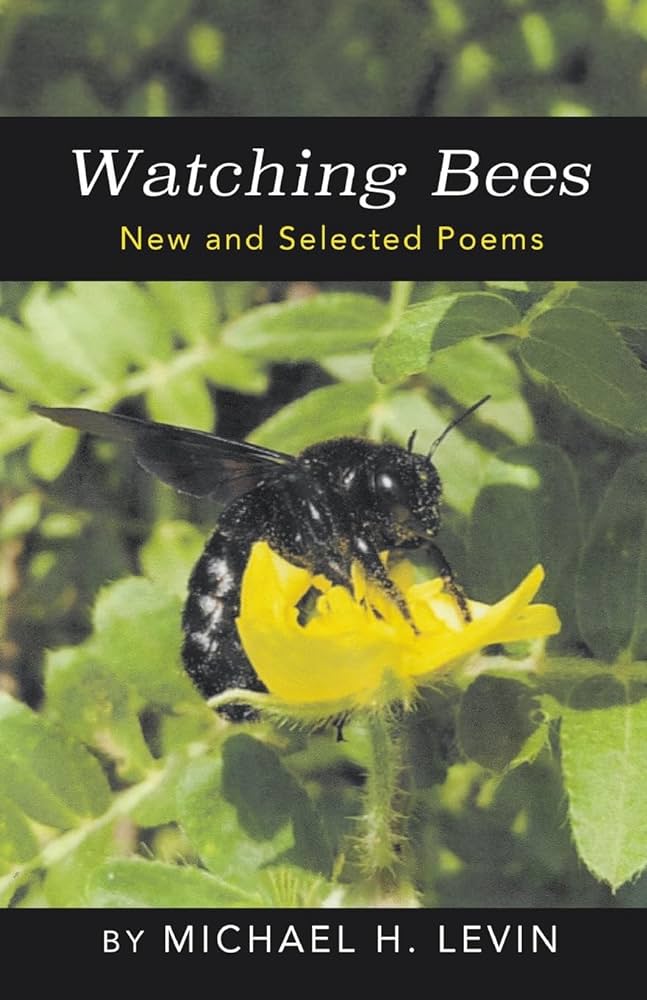Michael H. Levin: Watching Bees (2023, FLP Media Group)