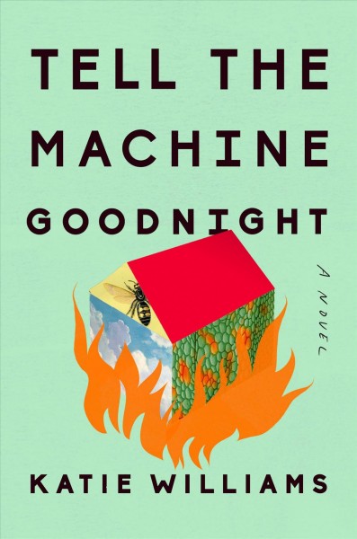 Katie Williams: Tell the machine goodnight (2018)