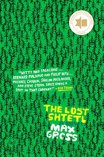 Max Gross: The Lost Shtetl (Paperback, 2021, HarperVia)