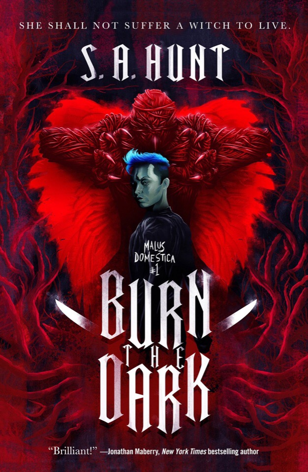 S. A. Hunt: Burn the Dark (EBook, 2020, Doherty Associates, LLC, Tom)