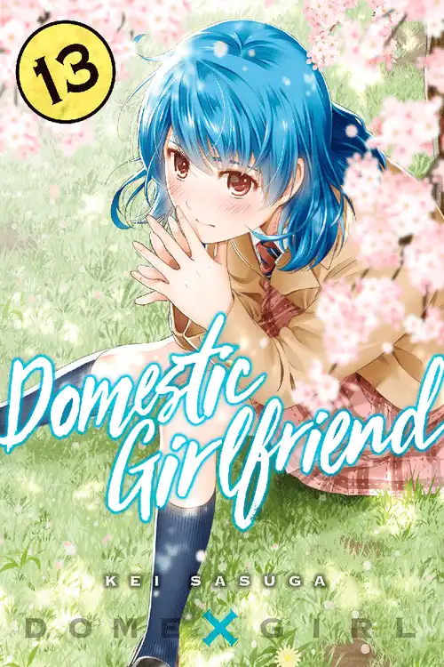 Kei Sasuga: Domestic Girlfriend, Volume 13 (EBook, 2017, Kodansha Comics)