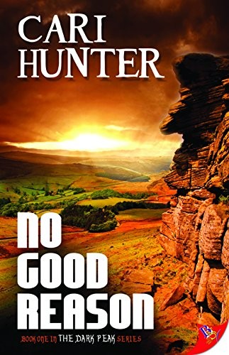 Cari Hunter: No Good Reason (Paperback, 2015, Bold Strokes Books)