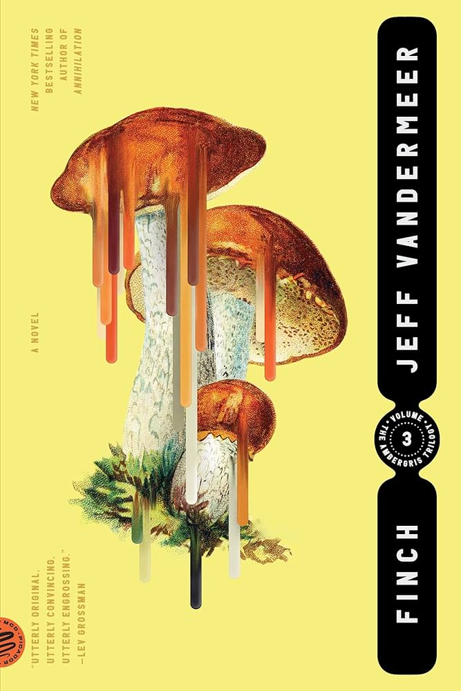 Jeff VanderMeer: Finch (Paperback, 2022, Picador)