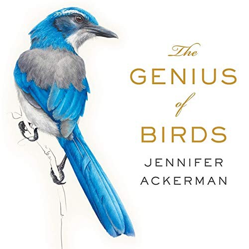 Jennifer Ackerman, Margaret Strom: The Genius of Birds Lib/E (AudiobookFormat, 2016, HighBridge Audio)
