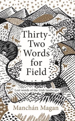 Thirty-Two Words for Field (2020, Gill Books)
