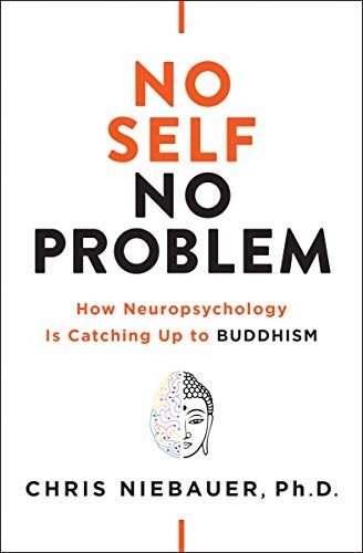 Chris Niebauer PhD: No Self, No Problem (Paperback, 2019, Hierophant Publishing)