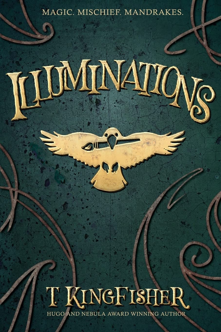 T Kingfisher (duplicate): Illuminations (Paperback, 2022, Argyll Productions)