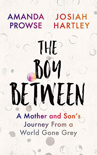 Josiah Hartley, Amanda Prowse: The Boy Between (AudiobookFormat, 2020, Brilliance Audio)