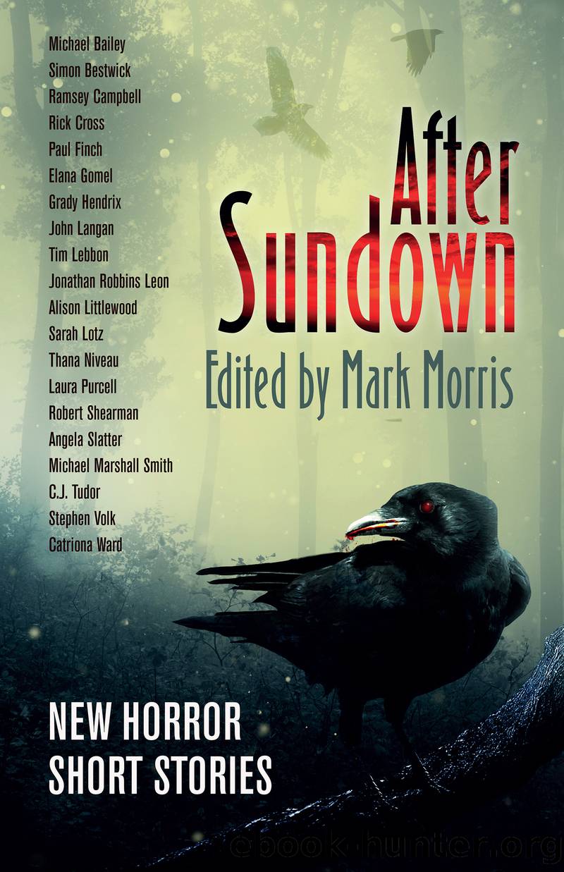 Mark Morris: After Sundown (2020, Flame Tree Press)