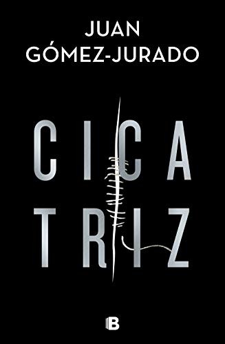 Juan Gómez-Jurado: Cicatriz (Hardcover, 2020, B (Ediciones B))