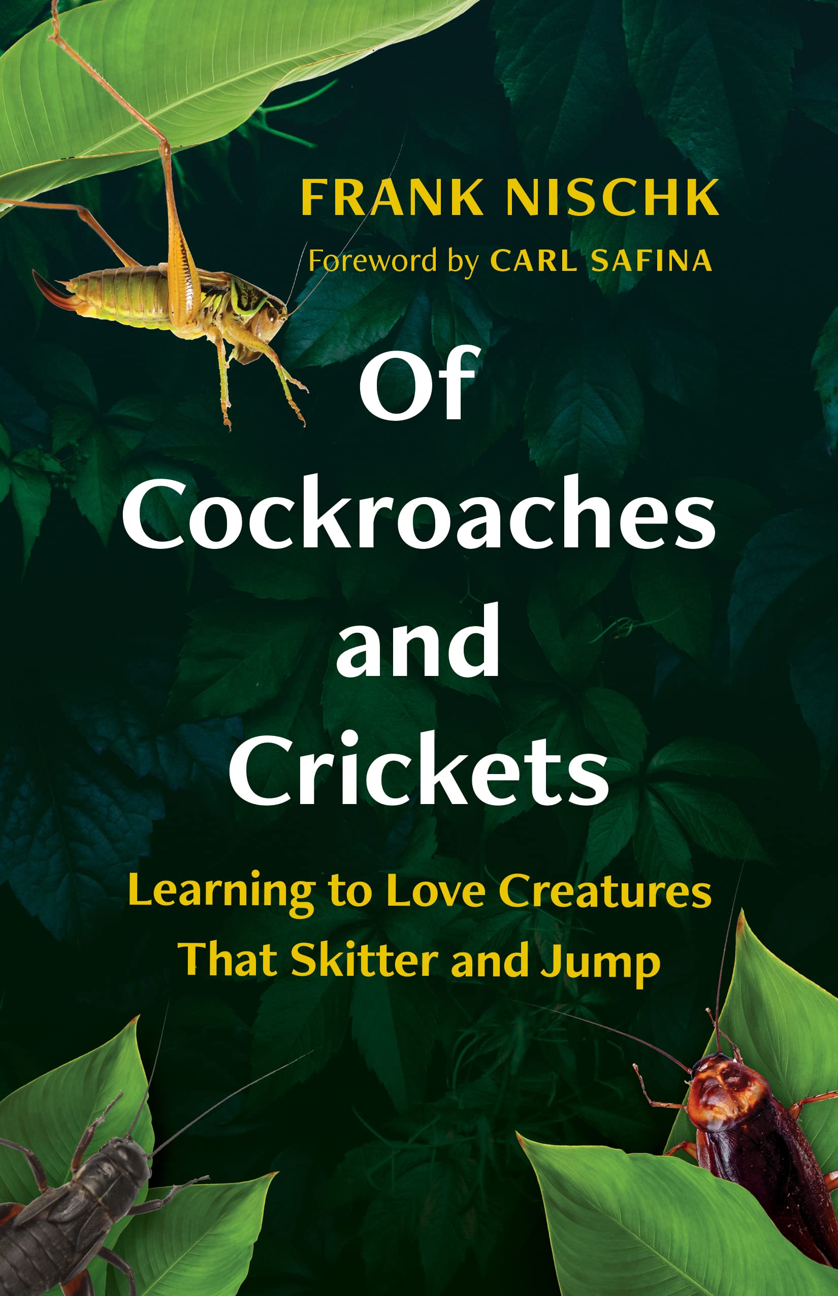 Carl Safina, Frank Nischk, Jane Billinghurst: Of Cockroaches and Crickets (2022, Greystone Books Ltd.)
