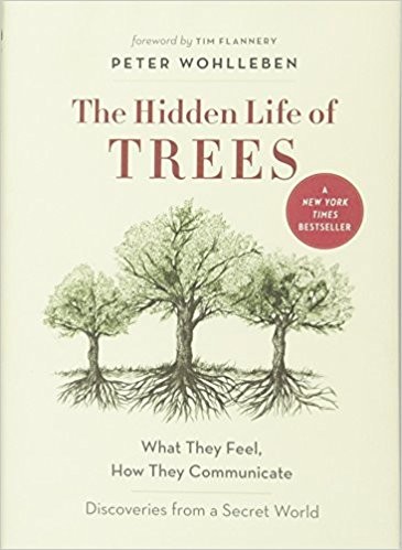 Peter Wohlleben: The Hidden Life of Trees (2016, Greystone Books)