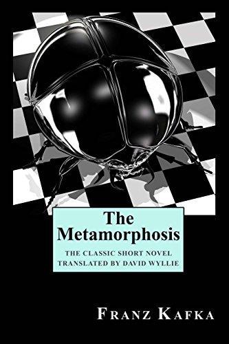 Franz Kafka: The Metamorphosis (2009)