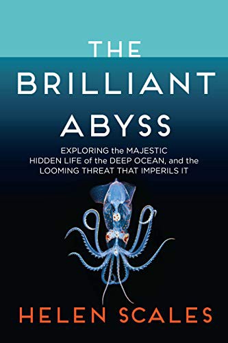 Helen Scales: The Brilliant Abyss (Hardcover, 2021, Atlantic Monthly Press)