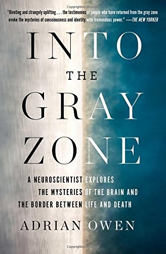 Adrian Owen: Into the Gray Zone (Paperback, 2018, Scribner)