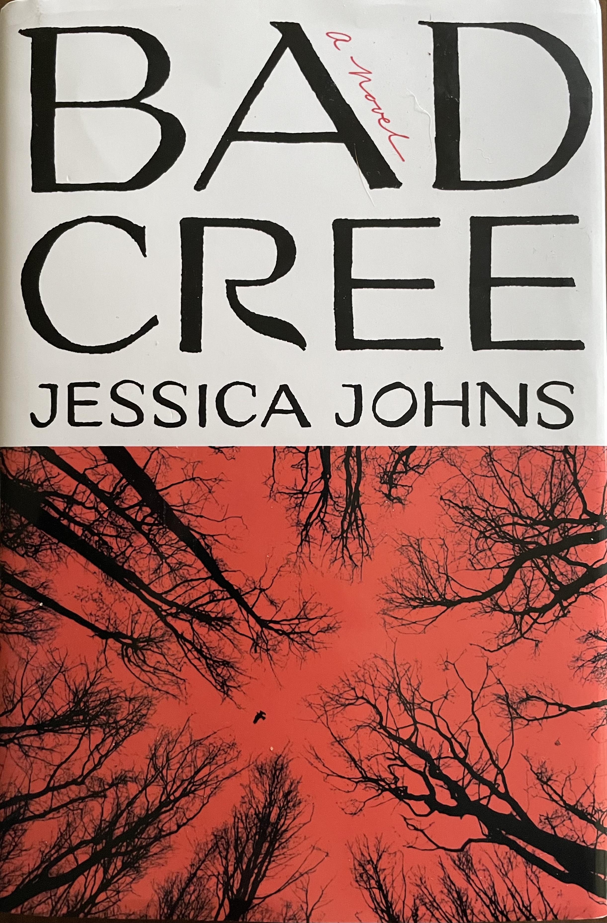 Jessica Johns: Bad Cree (2023, Knopf Doubleday Publishing Group)