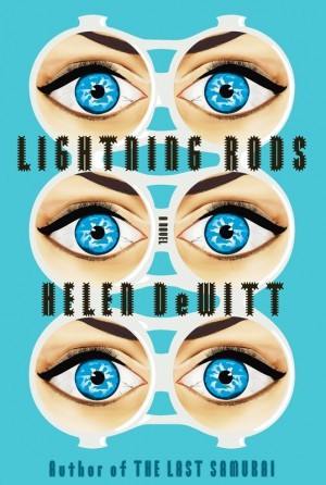 Helen Dewitt: Lightning rods (2011, New Directions Books)