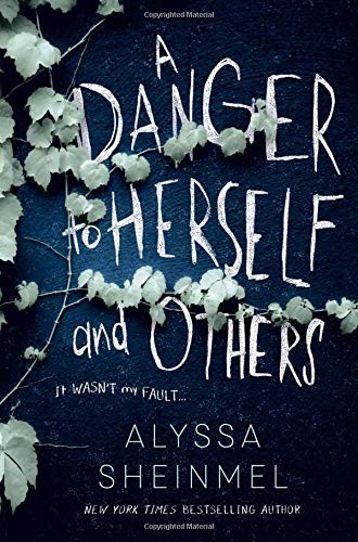 Alyssa Sheinmel: A Danger to Herself and Others (Hardcover, 2019, Sourcebooks Fire)