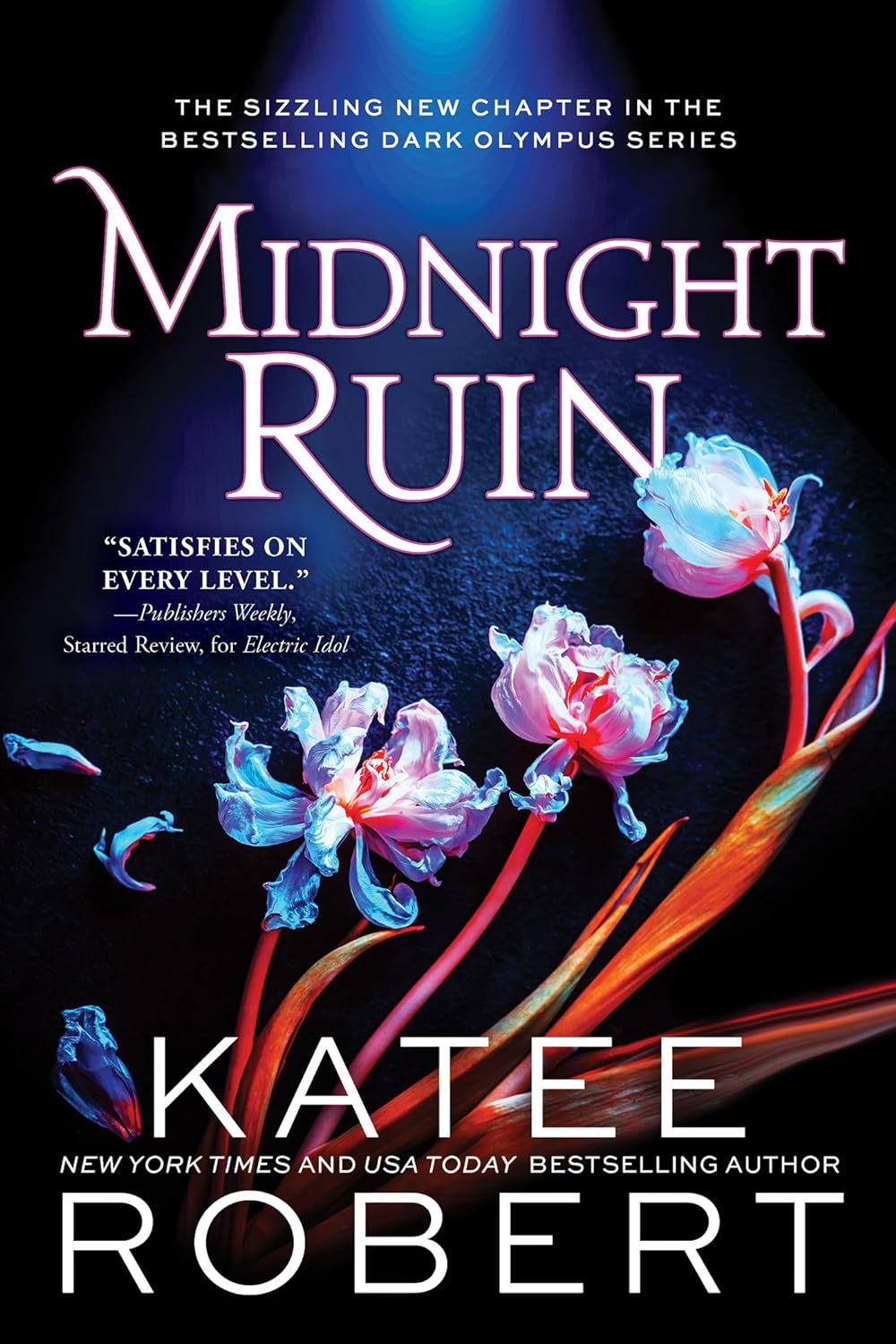 Katee Robert: Midnight Ruin (EBook, Sourcebooks Casablanca)