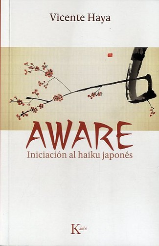 Vicente Haya: Aware (Spanish language, 2013, Kairós)
