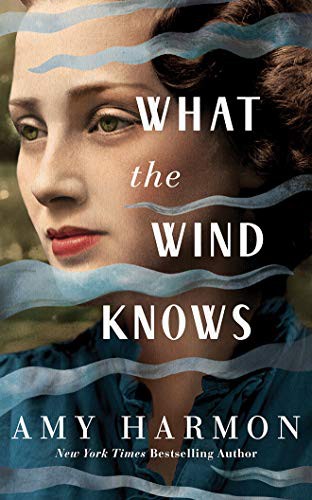 Amy Harmon, Saskia Maarleveld, Will Damron: What the Wind Knows (AudiobookFormat, 2019, Brilliance Audio)