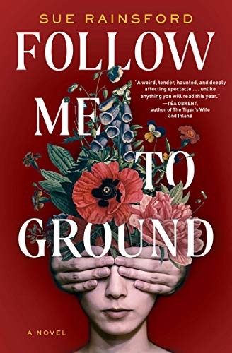 Sue Rainsford: Follow Me to Ground (Paperback, 2021, Scribner)