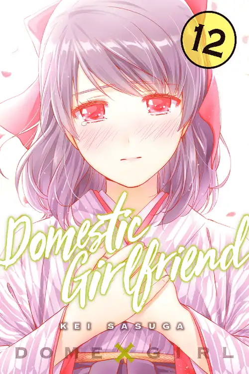 Kei Sasuga: Domestic Girlfriend, Volume 12 (EBook, 2017, Kodansha Comics)