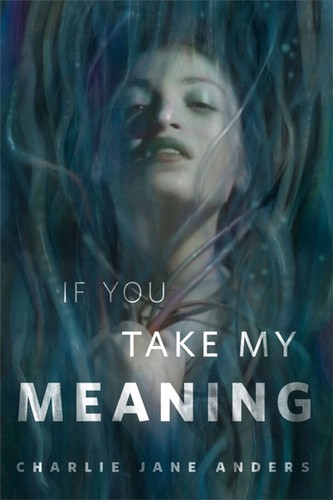 If You Take My Meaning (EBook, 2020, Tor.com)