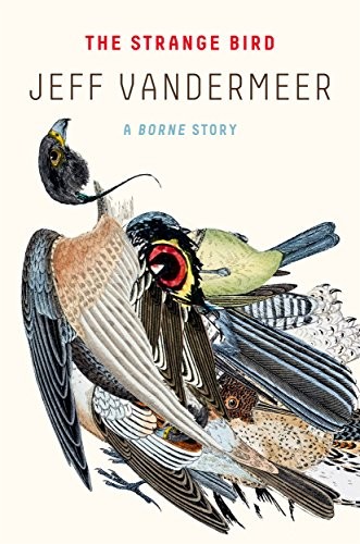 Jeff VanderMeer: The Strange Bird: A Borne Story (Paperback, 2018, MCD x FSG Originals)