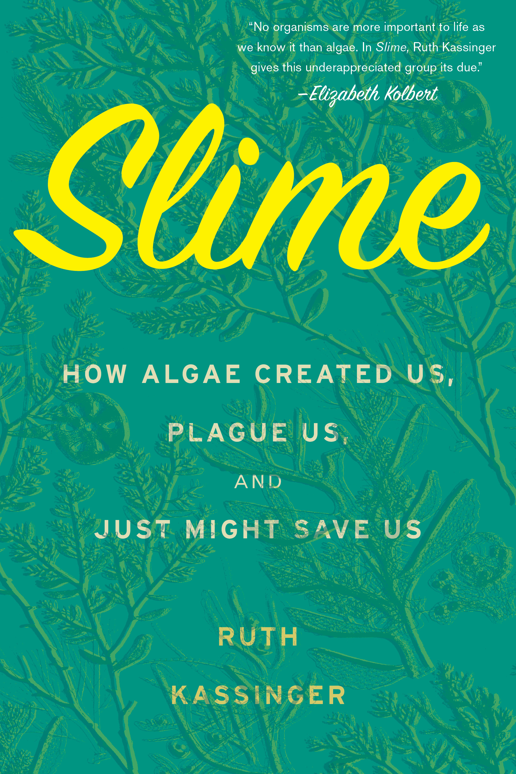 Ruth Kassinger: Slime (AudiobookFormat, 2019, HighBridge)