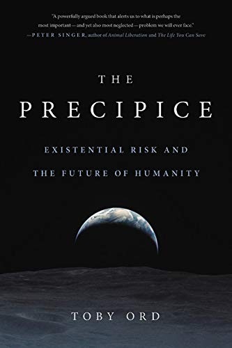 The Precipice (Paperback, 2021, Hachette Books)