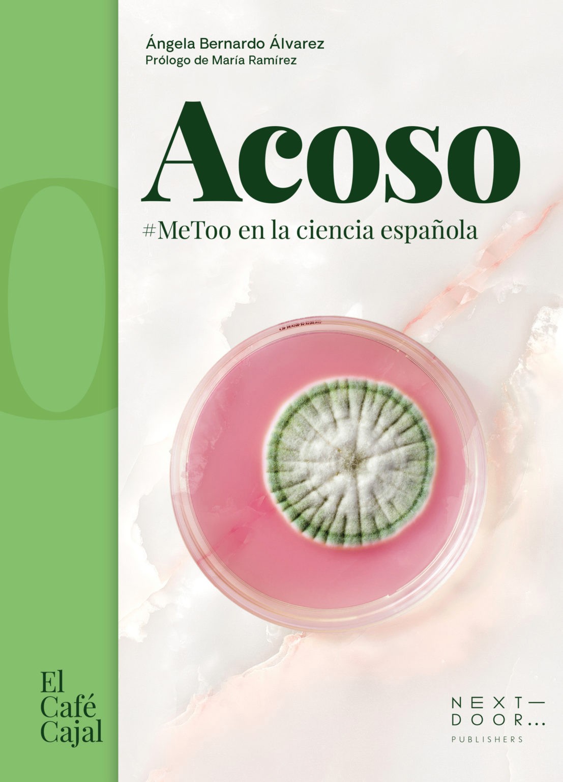 Ángela Bernardo Álvarez: Acoso (Hardcover, Spanish language, 2021, Next soor publishers)