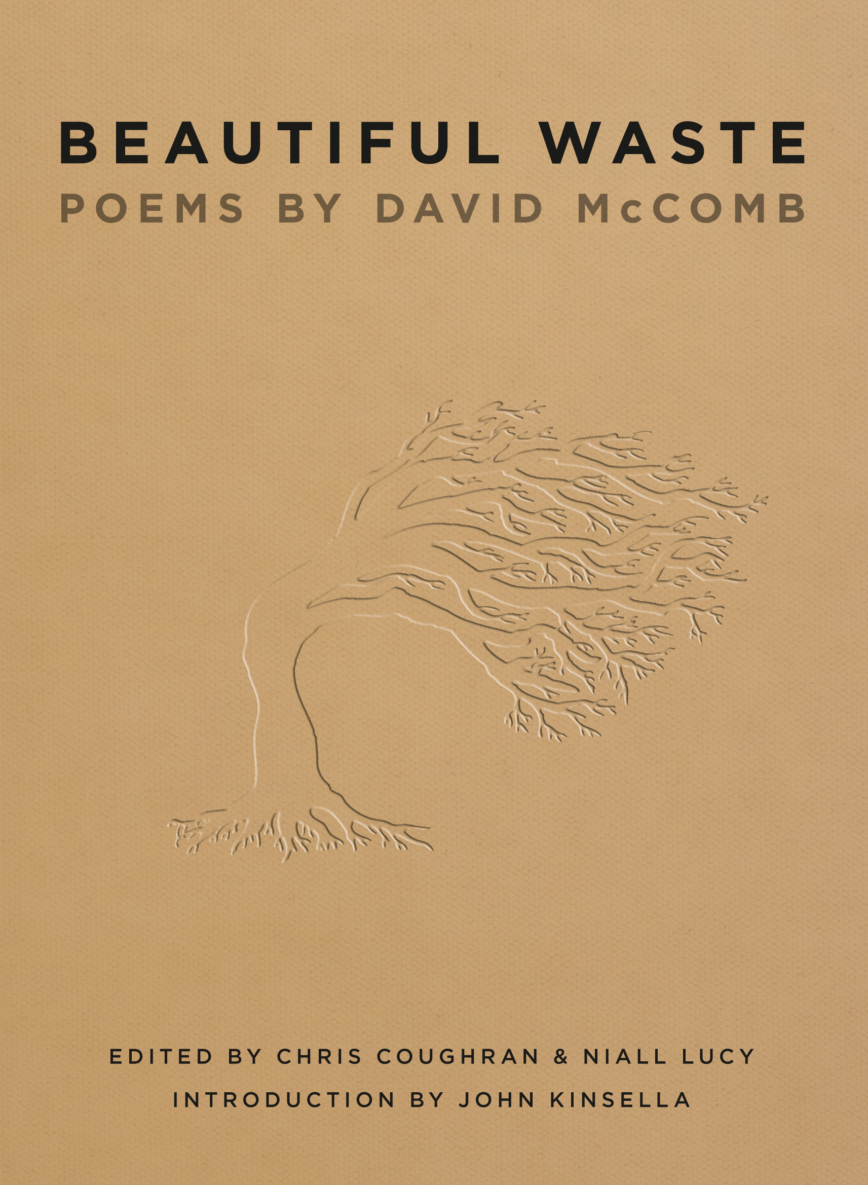 David McComb: Beautiful Waste (Paperback, 2009, Fremantle Press)