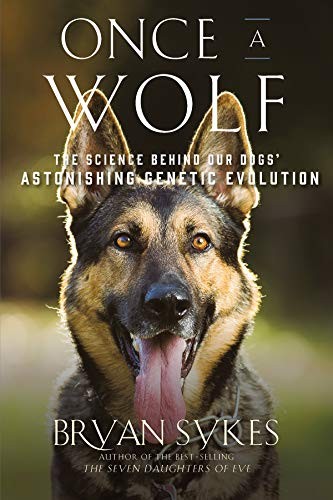 Bryan Sykes: Once a Wolf (Hardcover, 2019, Liveright)
