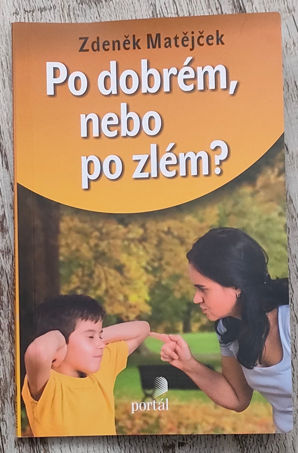 Zdeněk Matějíček: Po dobrém nebo po zlém? (Paperback, czech language, 2014, Portál)