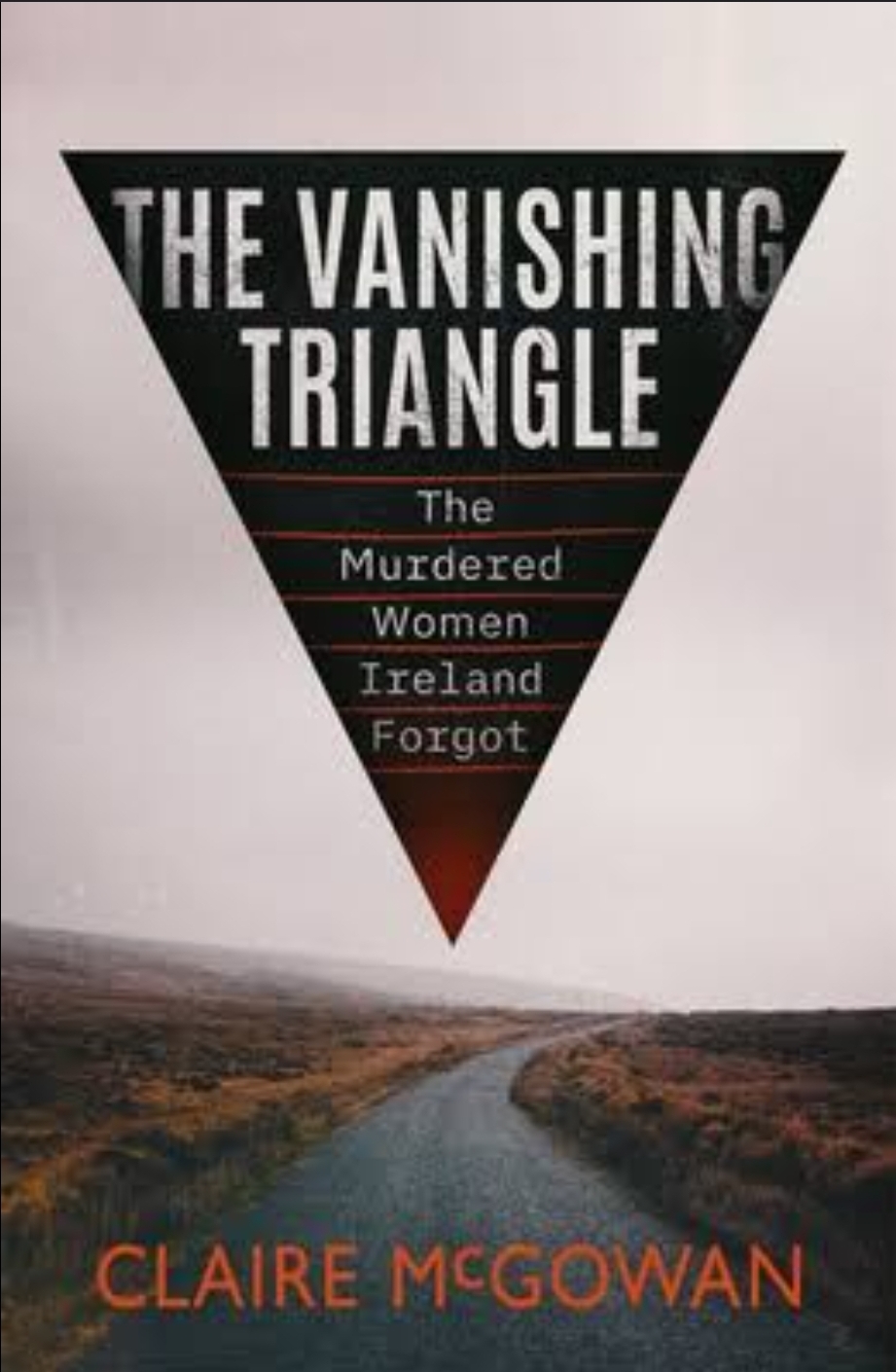 Claire McGowan: The Vanishing Triangle (Paperback, 2022, Little A)