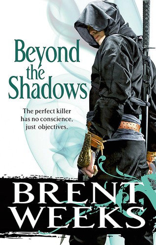 Beyond the Shadows (Paperback, 2008, Orbit Books)