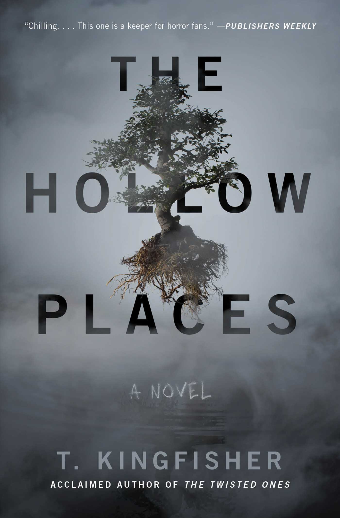 The Hollow Places (Paperback, 2020, Gallery / Saga Press)